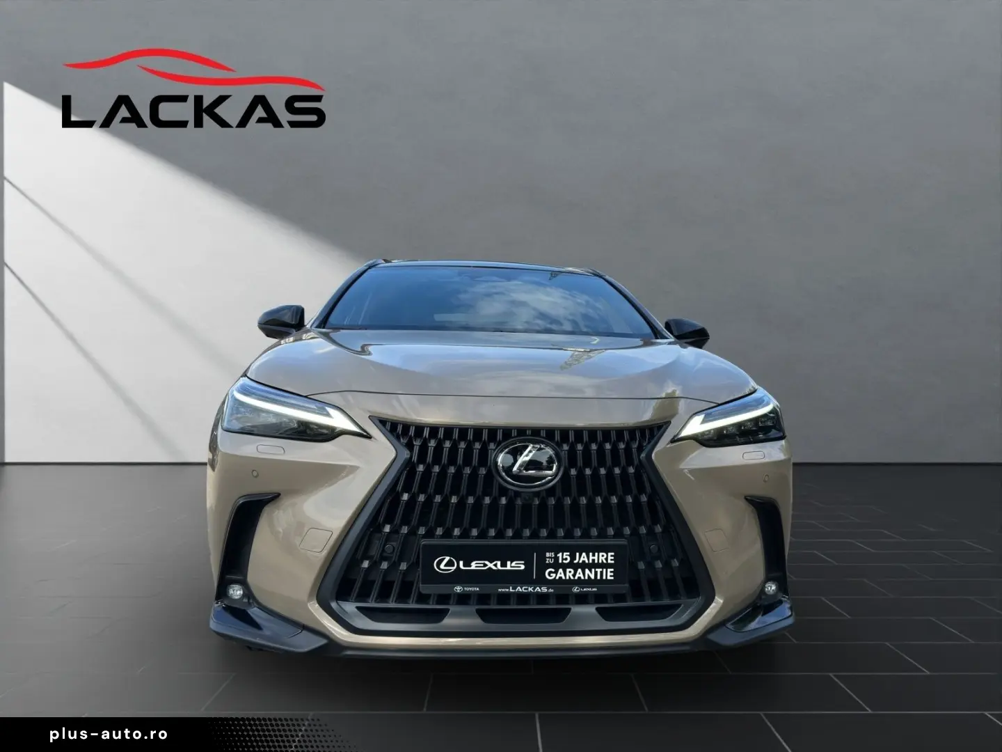 LEXUS NX 350h Overtrail E-FOUR