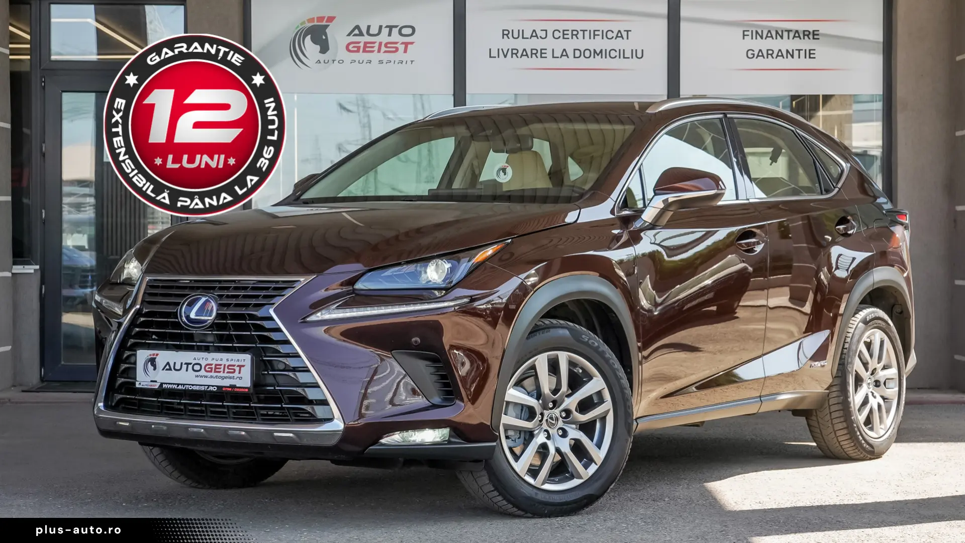 Lexus NX 300h