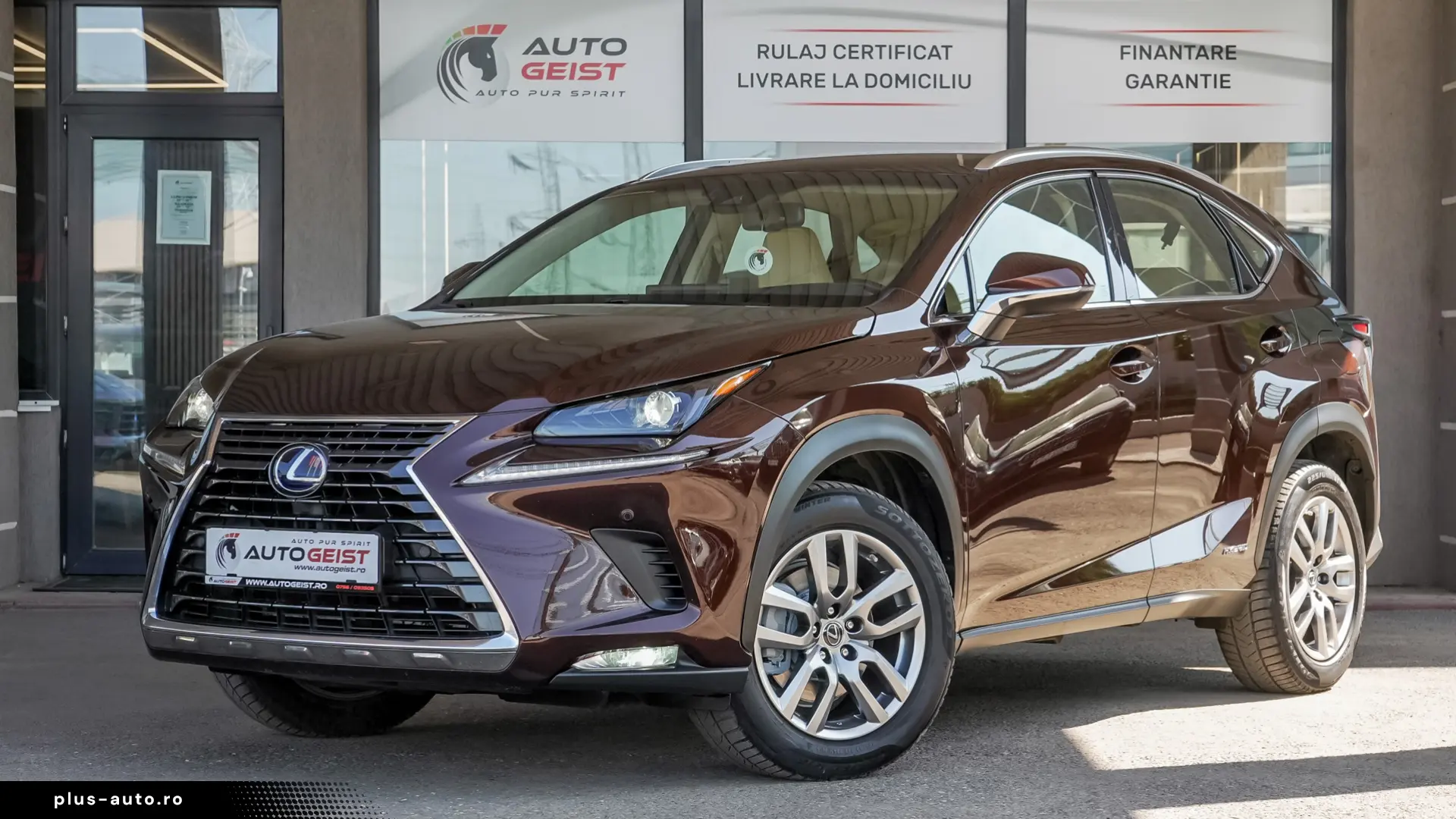 Lexus NX 300h