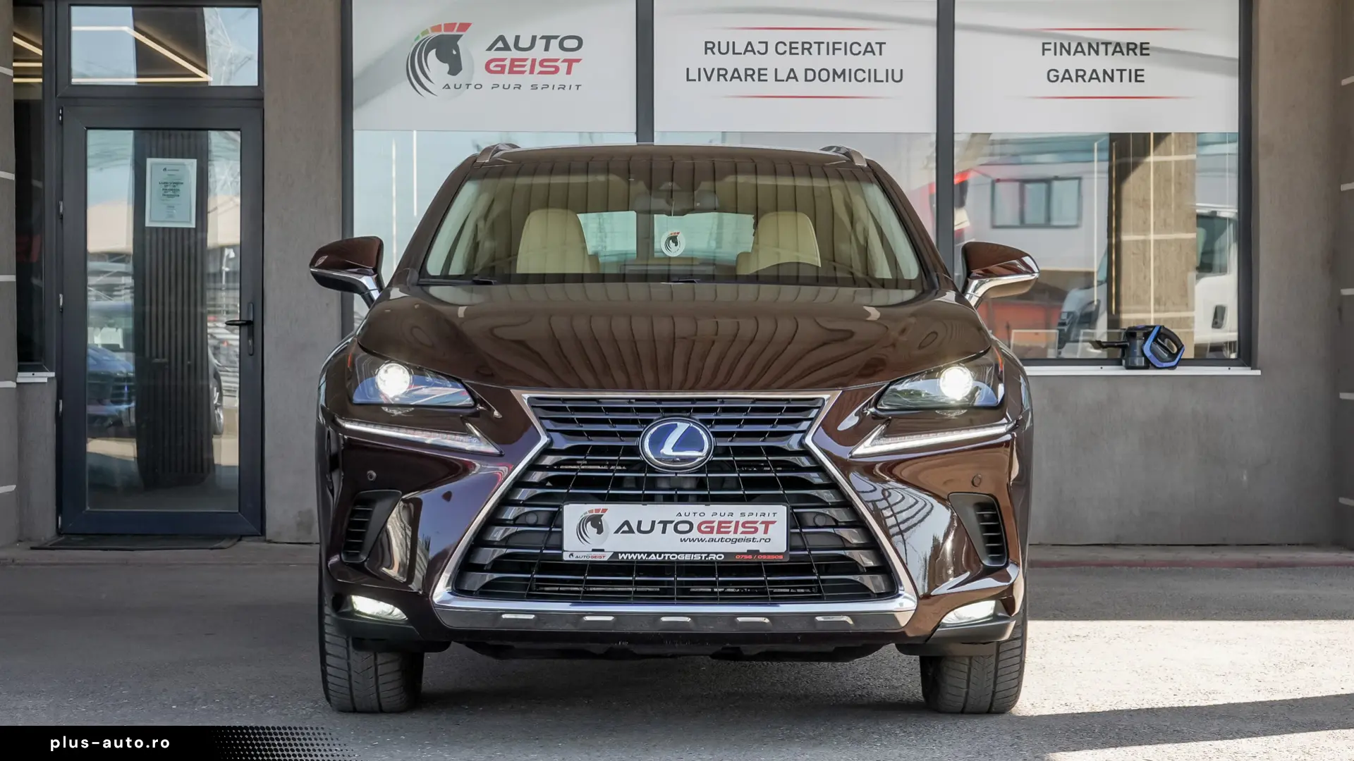 Lexus NX 300h