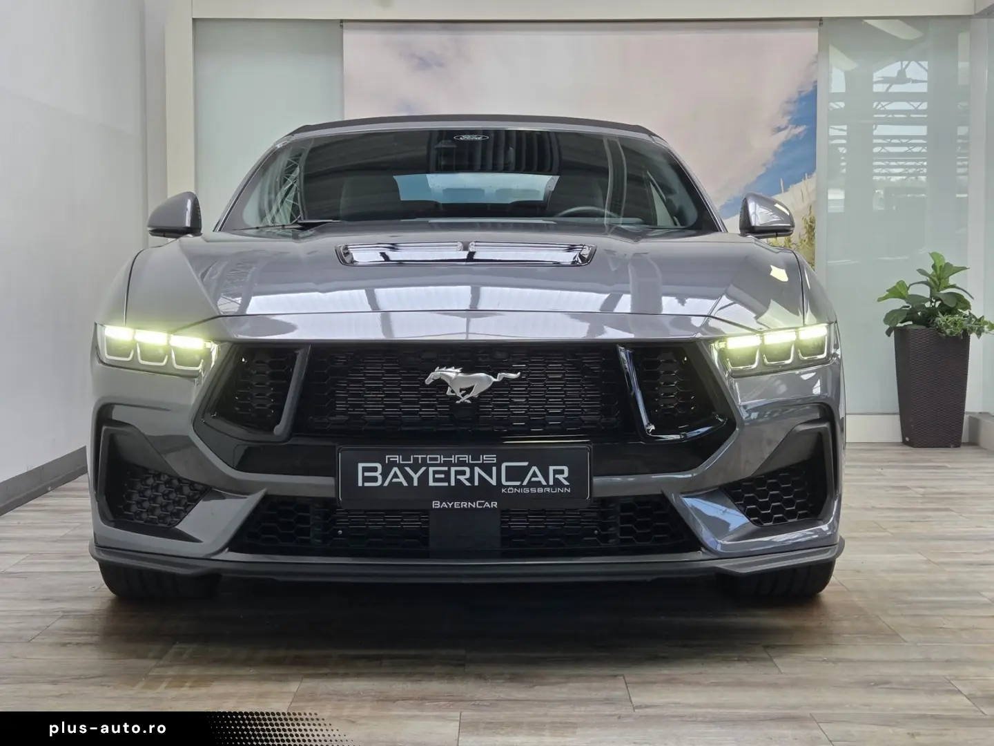 FORD Mustang 5.0 V8 Ti-VCT 446PS Automatik ACC