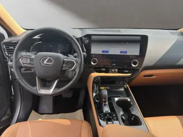 LEXUS NX 450h E-Four Pano Sitzbelüftung HUD
