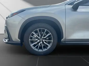 LEXUS NX 450h E-Four Pano Sitzbelüftung HUD
