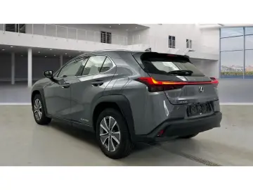 LEXUS UX 300e Luxury Head-Up Kamera Navi Leder Sitzkli