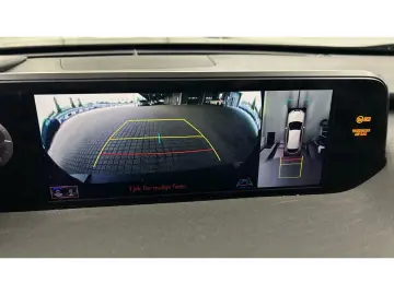 LEXUS UX 300e Luxury Head-Up Kamera Navi Leder Sitzkli