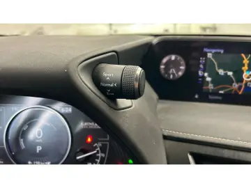 LEXUS UX 300e Luxury Head-Up Kamera Navi Leder Sitzkli