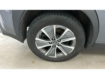 LEXUS UX 300e Luxury Head-Up Kamera Navi Leder Sitzkli
