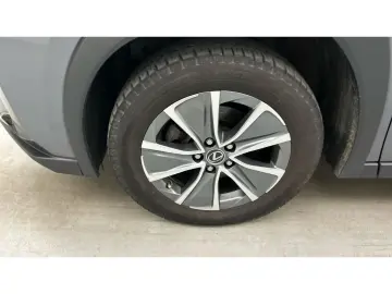LEXUS UX 300e Luxury Head-Up Kamera Navi Leder Sitzkli