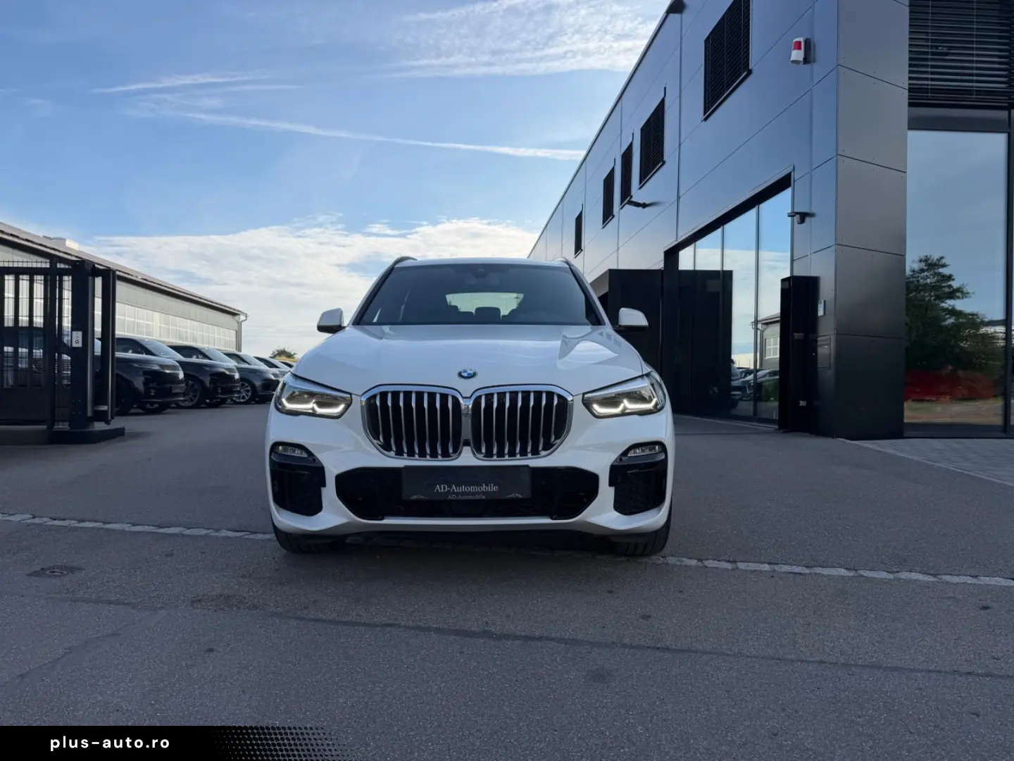 BMW X5 xDrive 30 d M Sport 21 Zoll 7 Sitz DVD Air