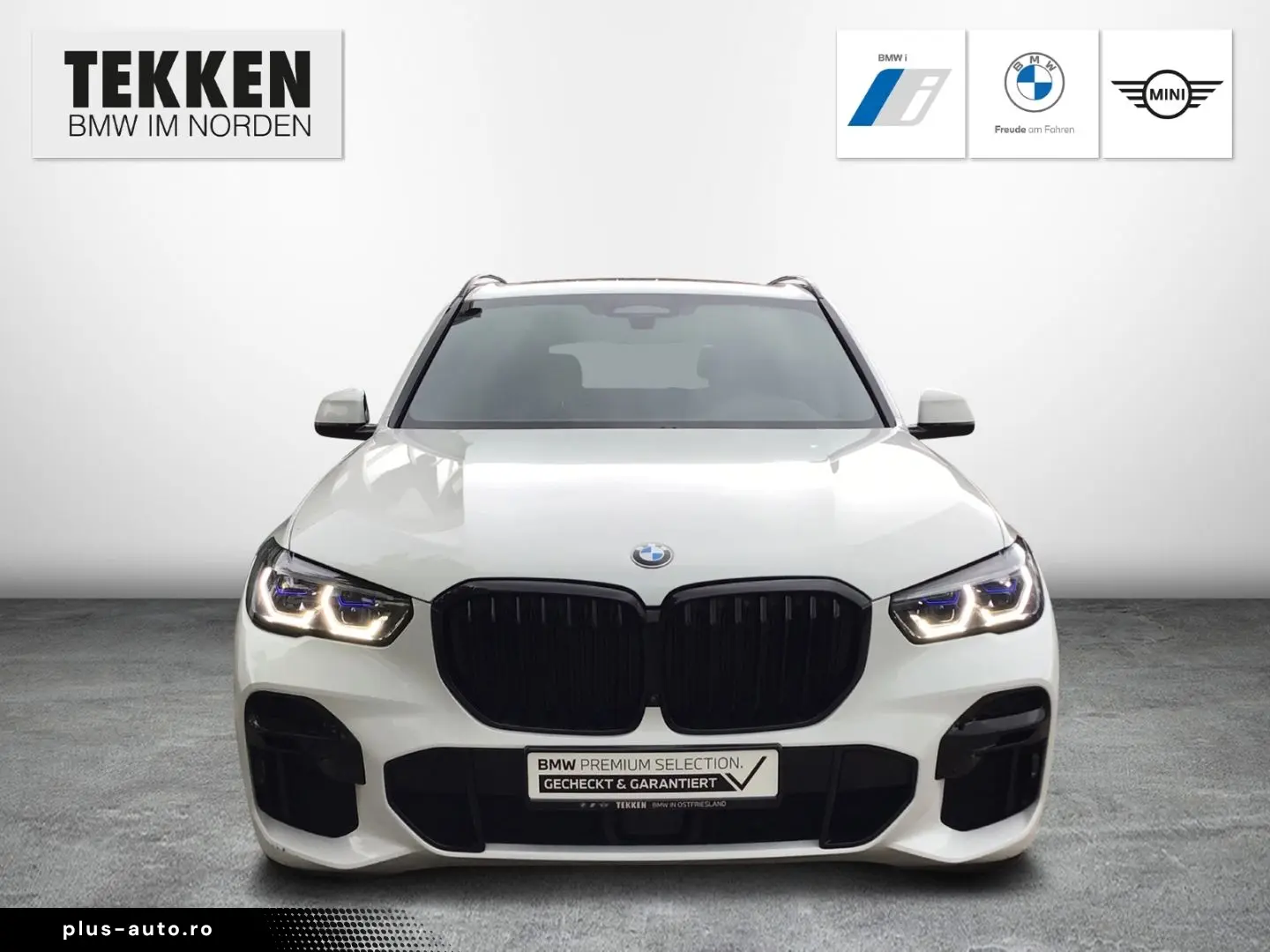 BMW X5 xDrive40d M Sport AHK ACC Standhzg Panorama H