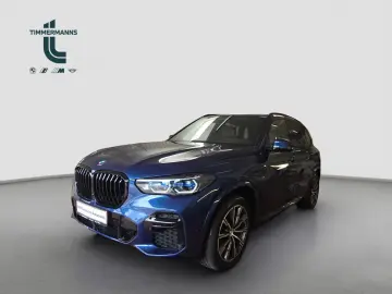BMW X5 xDrive30d M Sportpaket Innovationsp. Head-Up