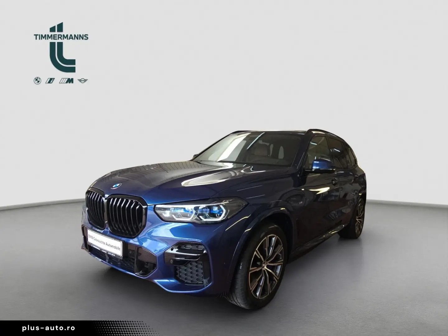 BMW X5 xDrive30d M Sportpaket Innovationsp. Head-Up
