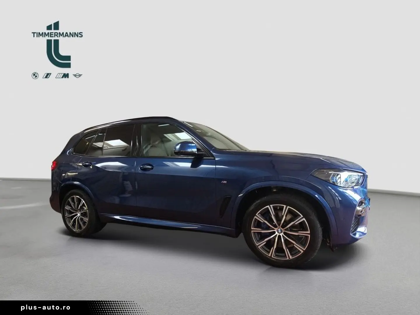 BMW X5 xDrive30d M Sportpaket Innovationsp. Head-Up