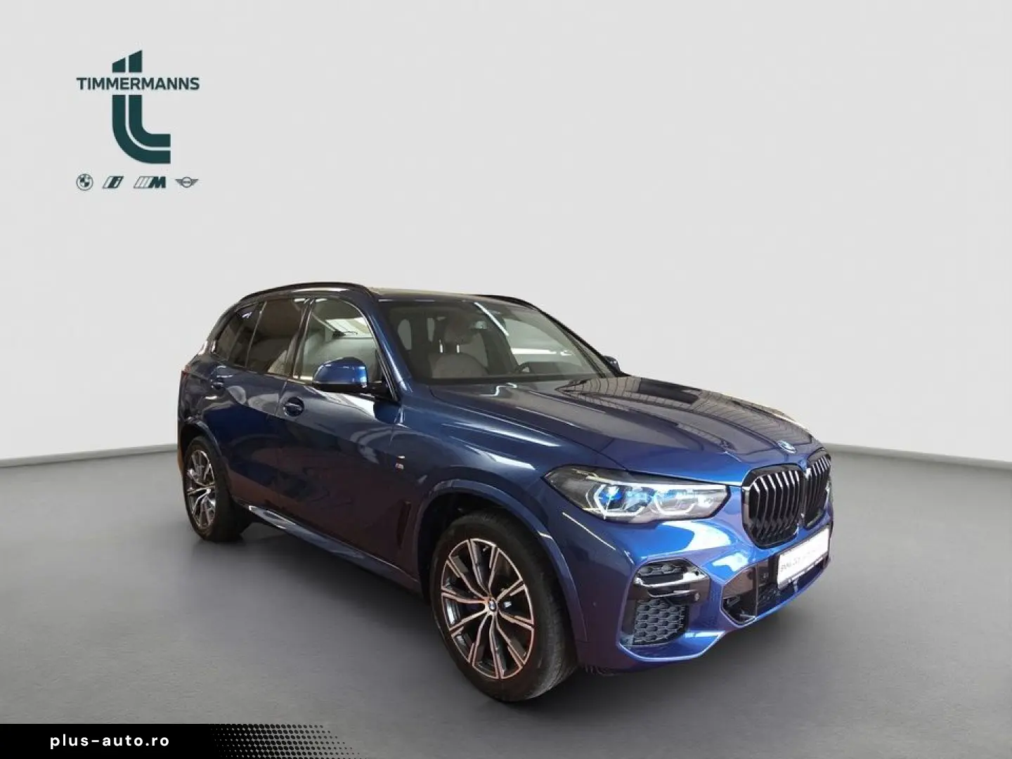 BMW X5 xDrive30d M Sportpaket Innovationsp. Head-Up