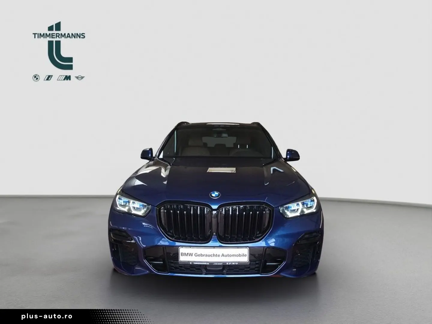 BMW X5 xDrive30d M Sportpaket Innovationsp. Head-Up