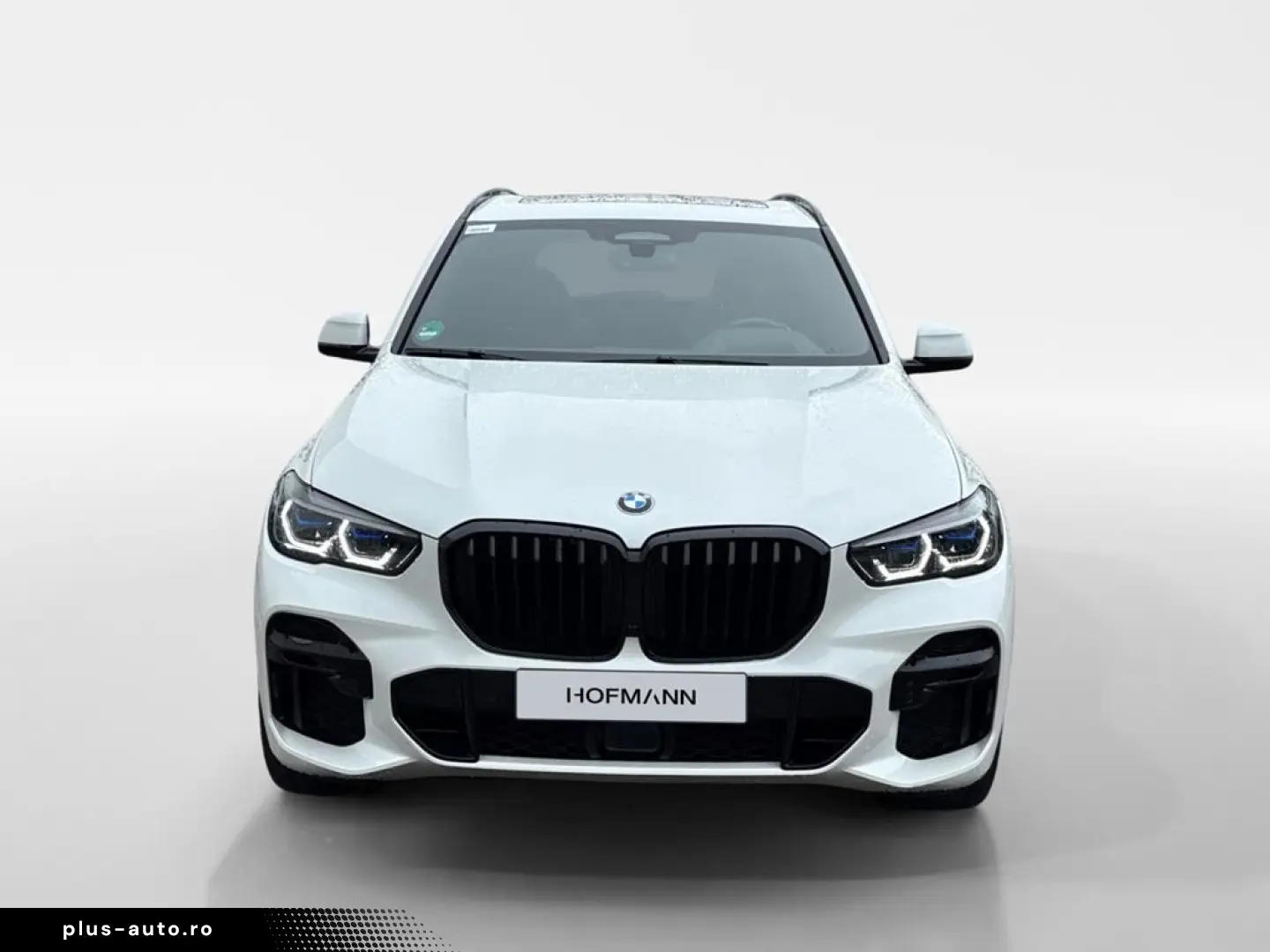 BMW X5 xDrive30d M Sport AHK Pano Laser ACC Inno