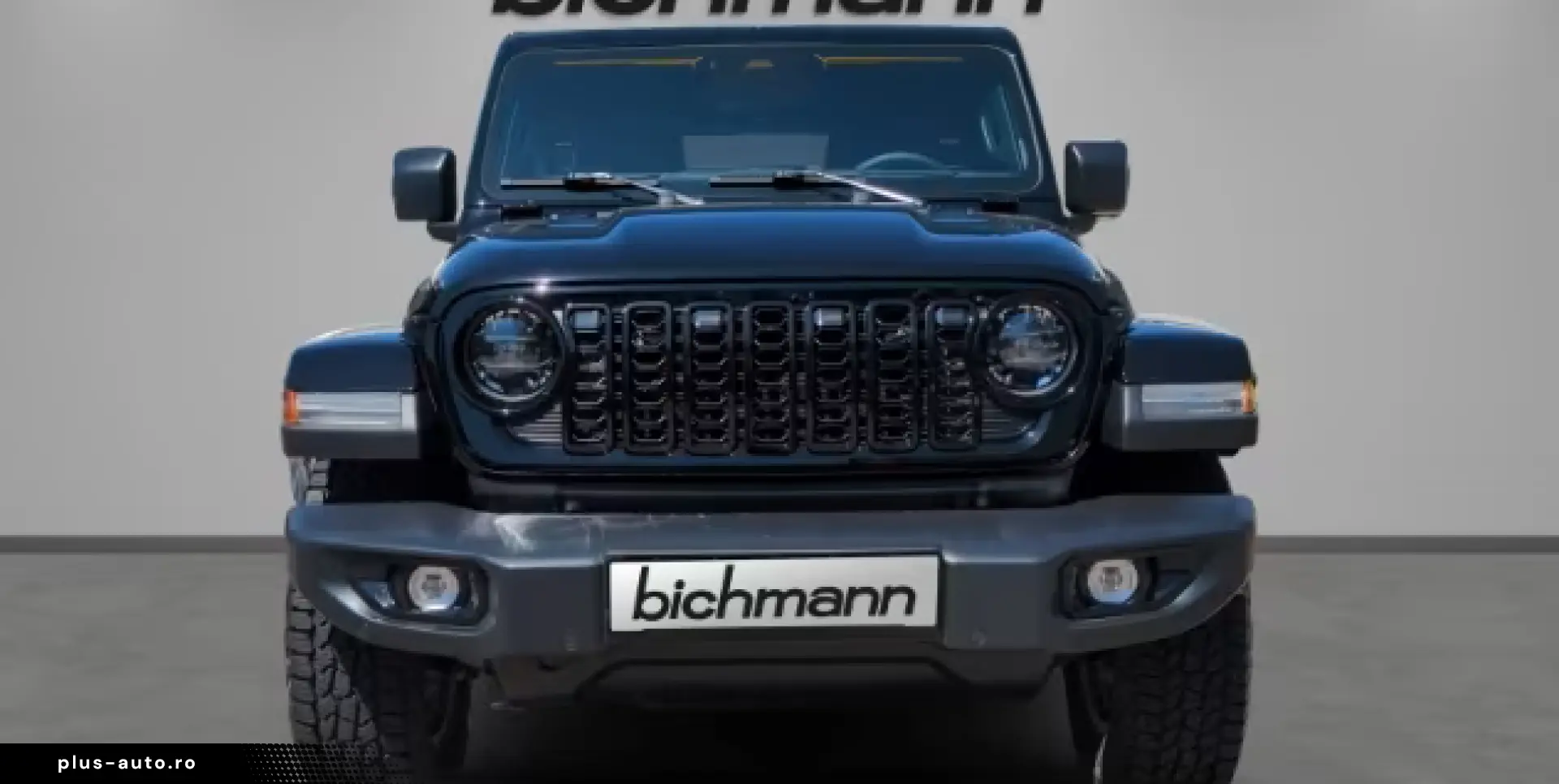 JEEP Wrangler Unlimited Sahara Hardtop All-Black Alpi