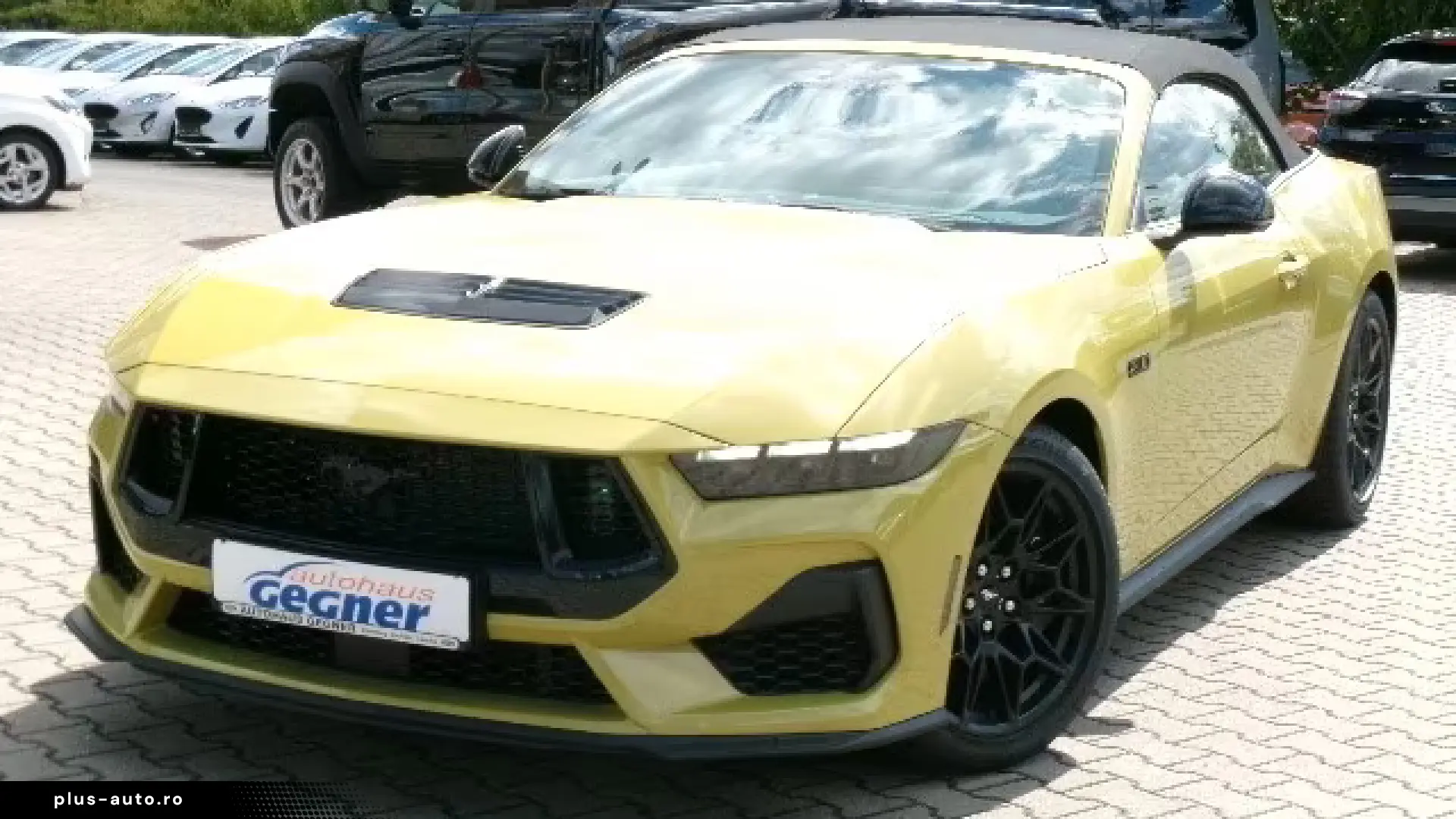 Ford Mustang GT Cabrio AT 5.0L V8 NitePony Magneride