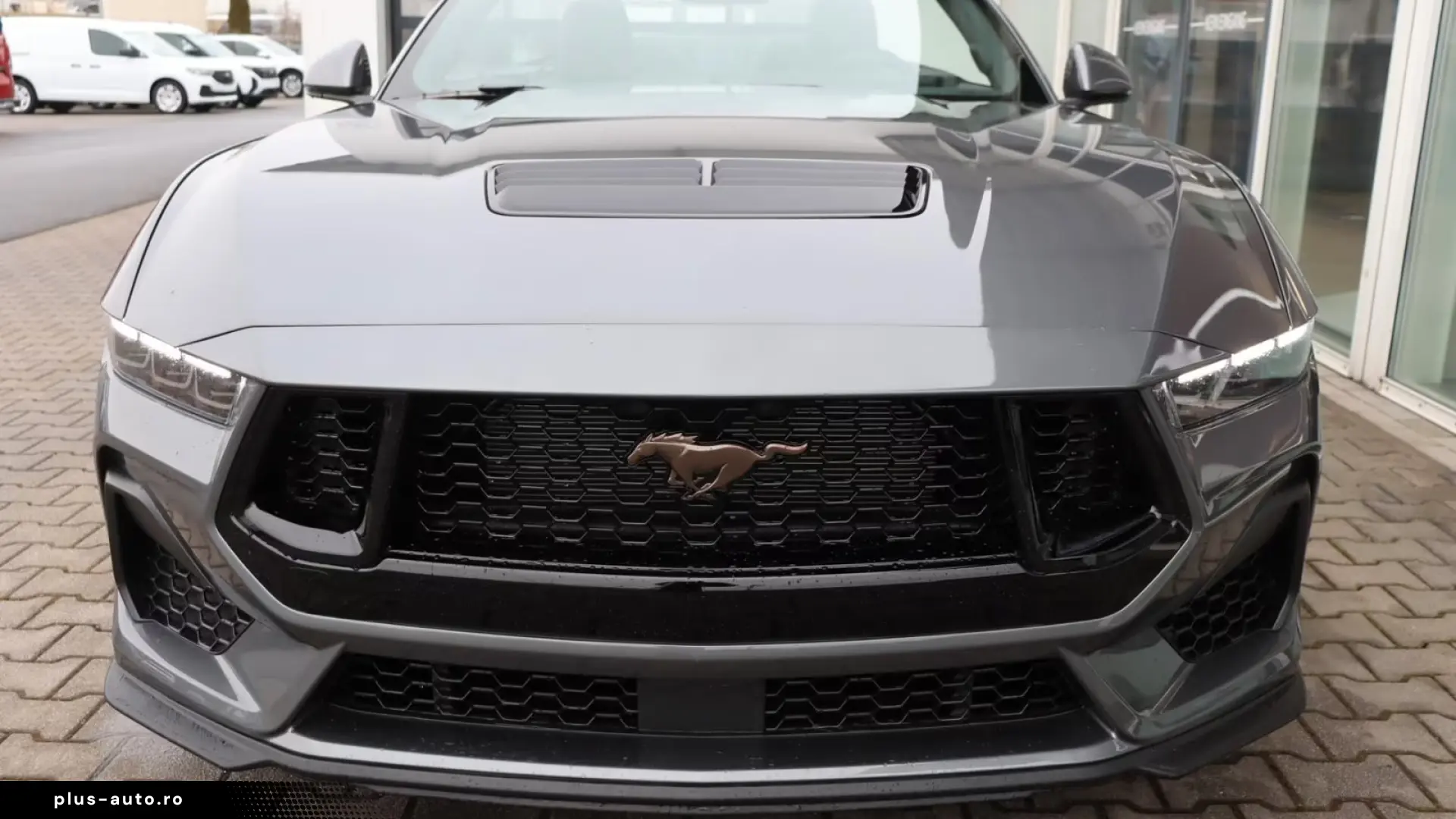 Ford Mustang GT Bronze-Paket MagneRide
