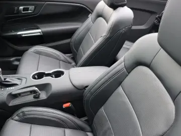 Ford Mustang GT Bronze-Paket MagneRide