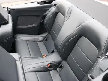 Ford Mustang GT Bronze-Paket MagneRide