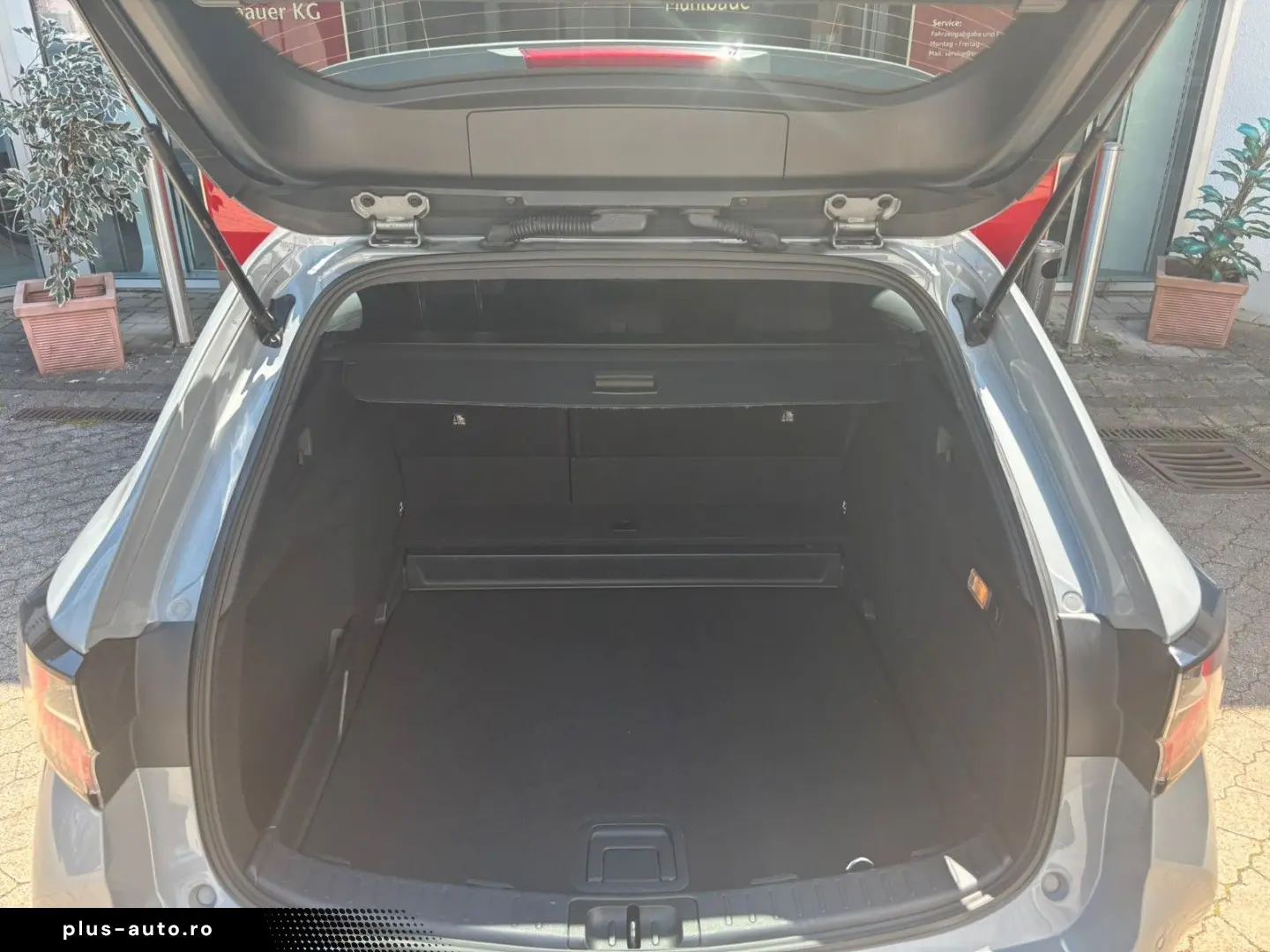 TOYOTA Corolla Touring Sports Hybrid Team D
