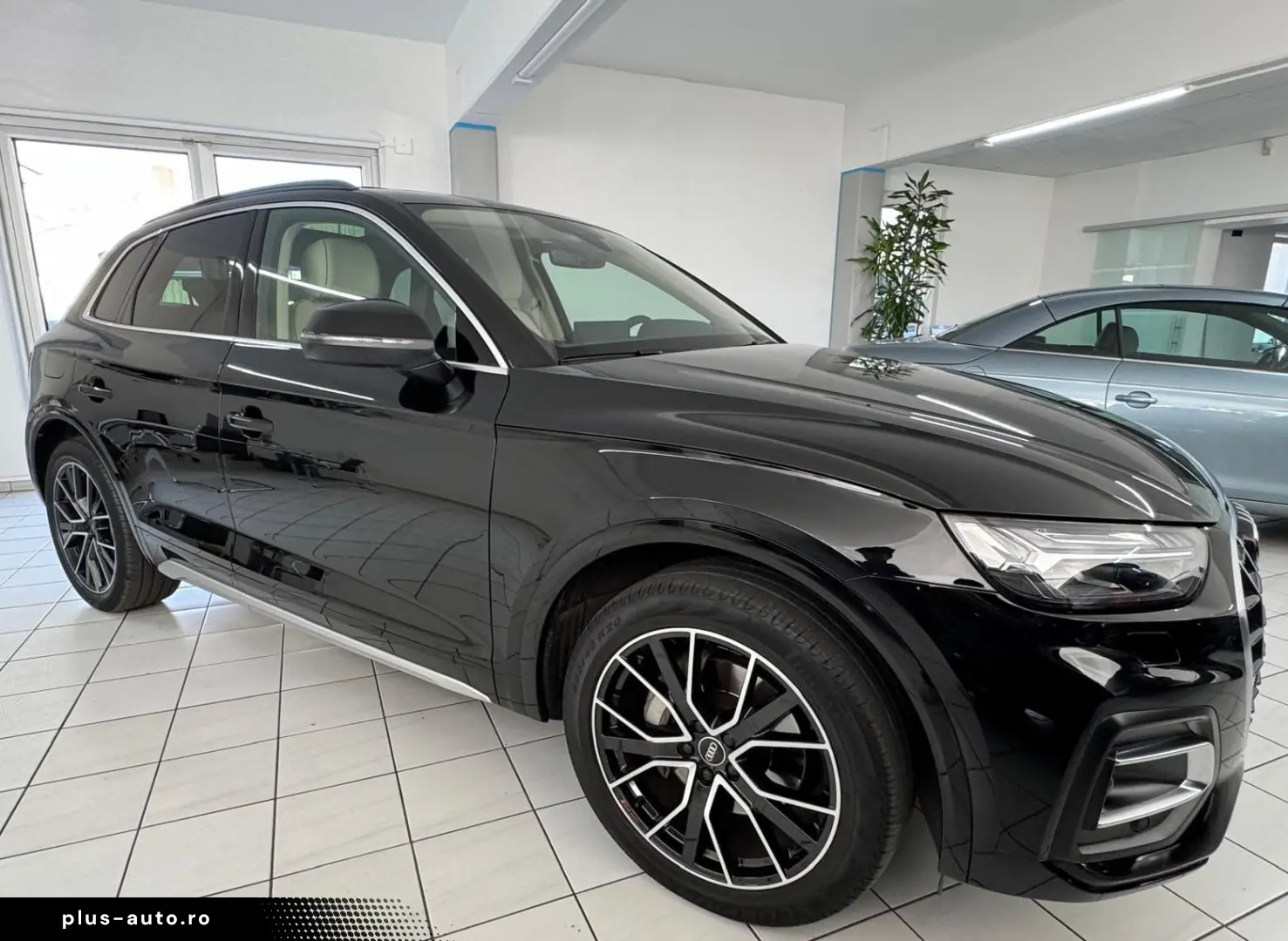 AUDI Q5 50 TDI quat. PANO LUFT HUD ACC NETTO 38.000
