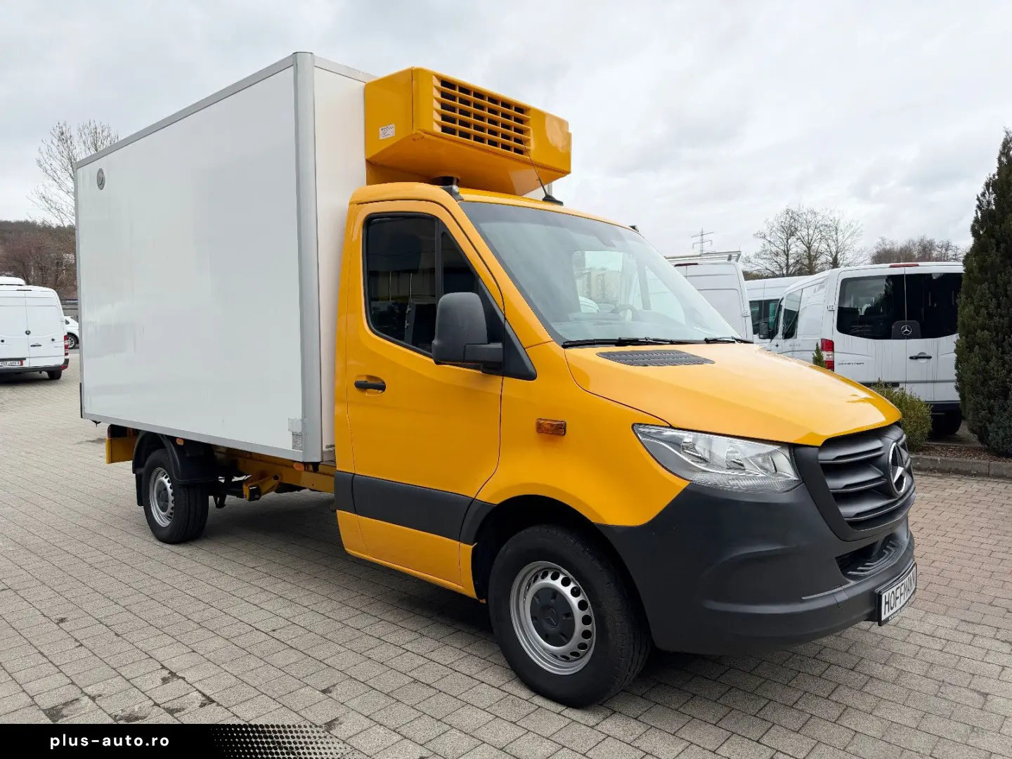 MERCEDES-BENZ Sprinter 311 CDI Kühlkoffer bis -28  C L2 RWD