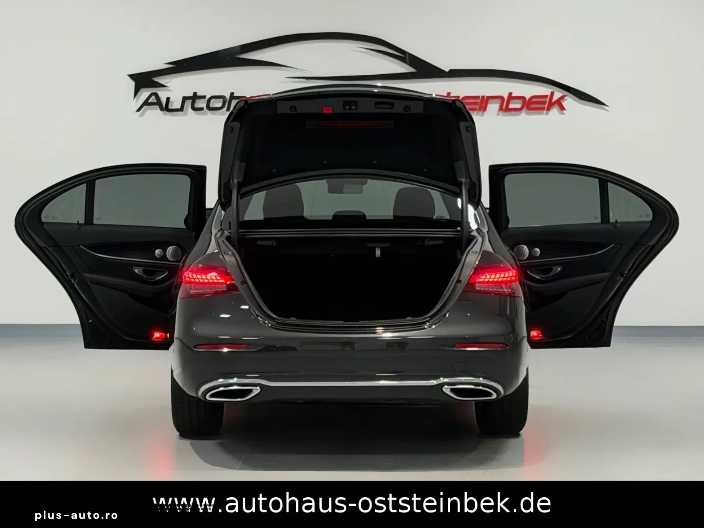 MERCEDES-BENZ E 220 d 9G-TRONIC 360  PANO DISTRONIC BURMEST