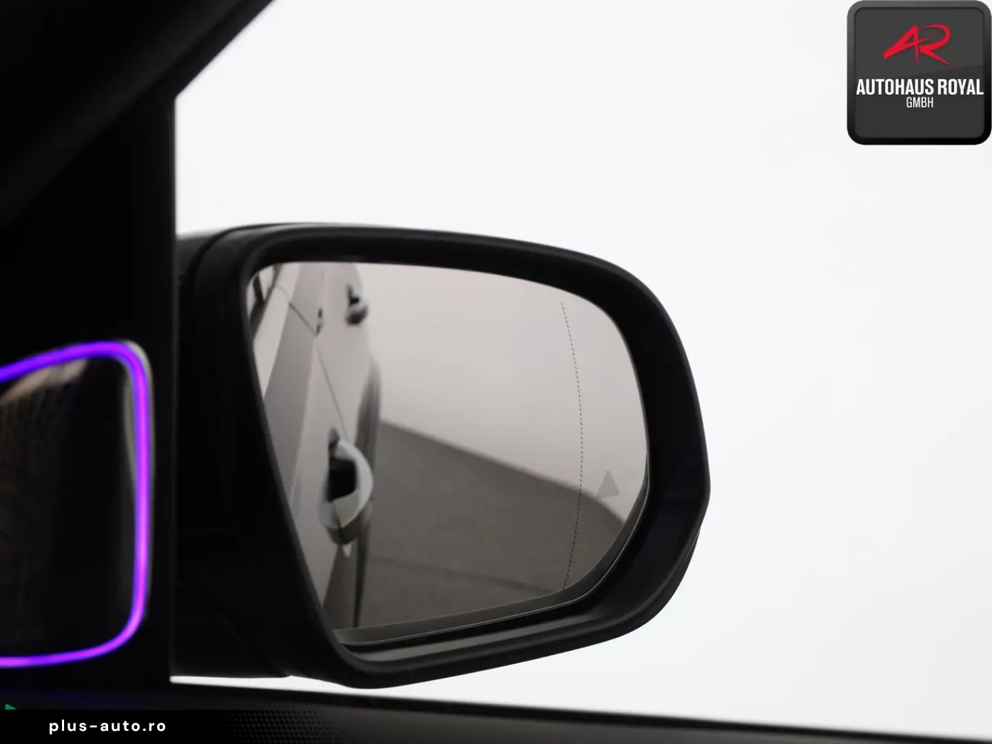 MERCEDES-BENZ GLS 600 Maybach FIRST-CLASS FOND-TV MANUFAKTUR
