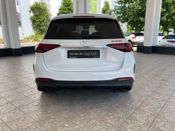 MERCEDES-BENZ GLE 53 AMG HYBRID 4M  Pano-Dach Distro…