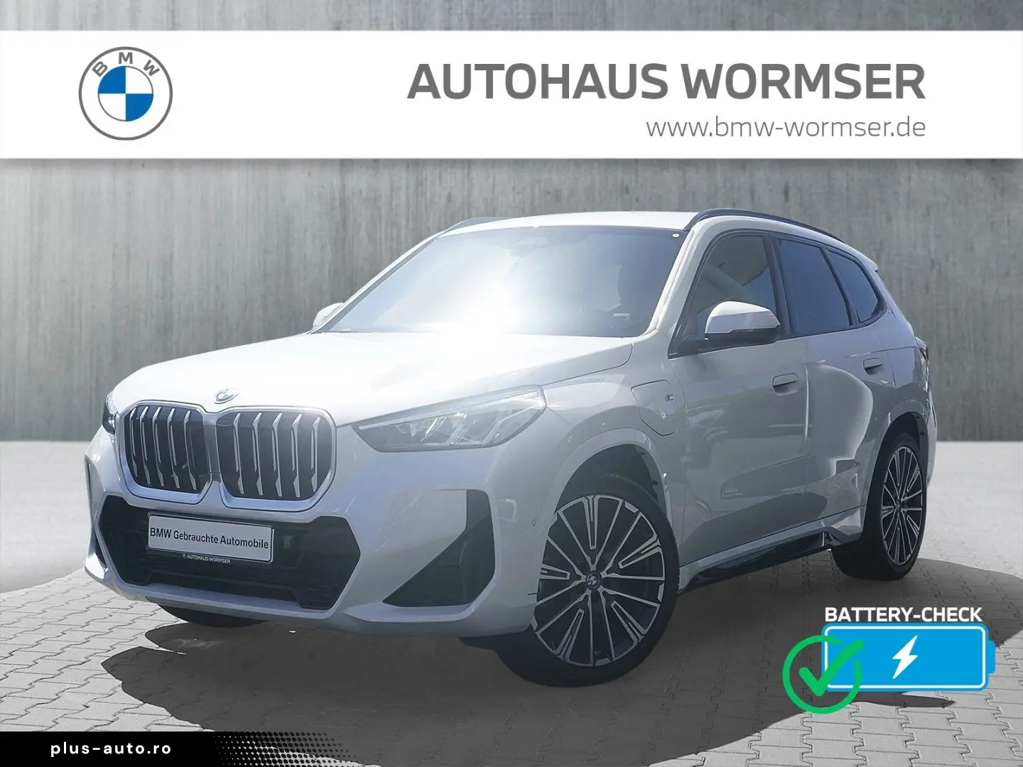 BMW X1 xDrive25e M Sportpaket DAB Parkassistent Shz