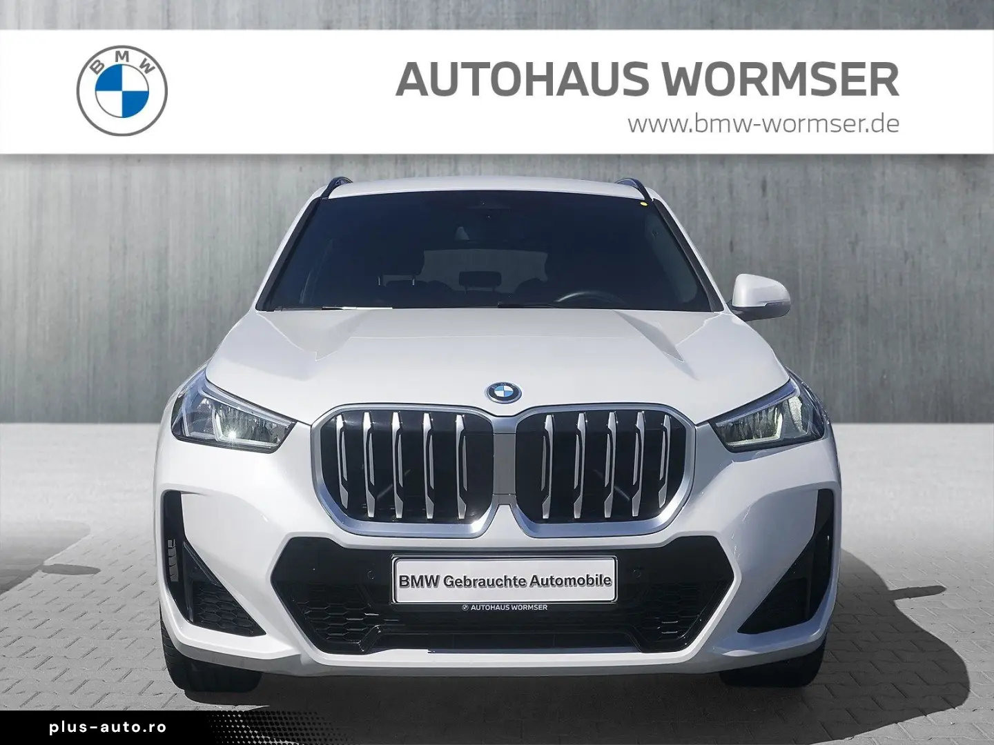 BMW X1 xDrive25e M Sportpaket DAB Parkassistent Shz