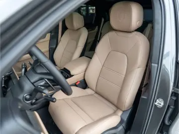 PORSCHE Cayenne Turbo E-Hybrid Burmester PDCC Massage