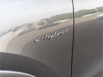 PORSCHE Cayenne Turbo E-Hybrid Burmester PDCC Massage
