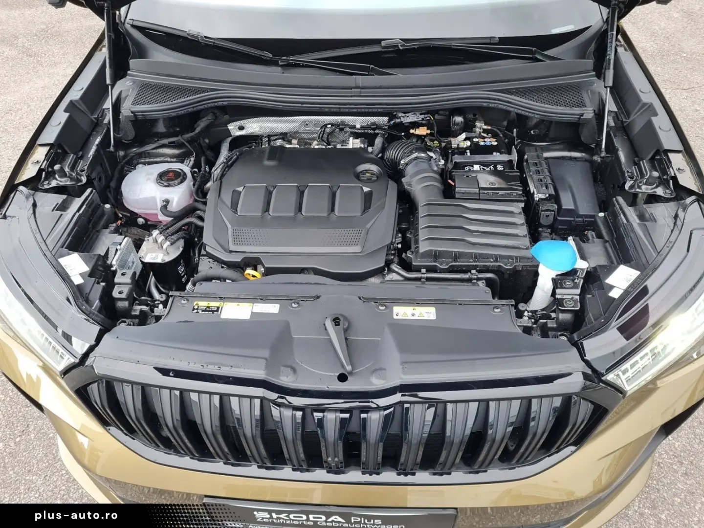 SKODA Kodiaq 2.0 TDI Sportline 4x4 DSG AHK MATRIX