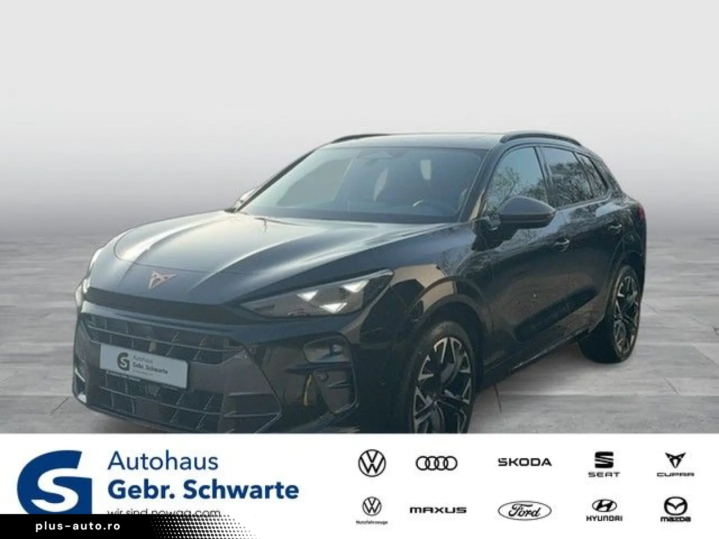 CUPRA Terramar 2.0 TSI 4D VZ AHK HuD Pano Navi 20