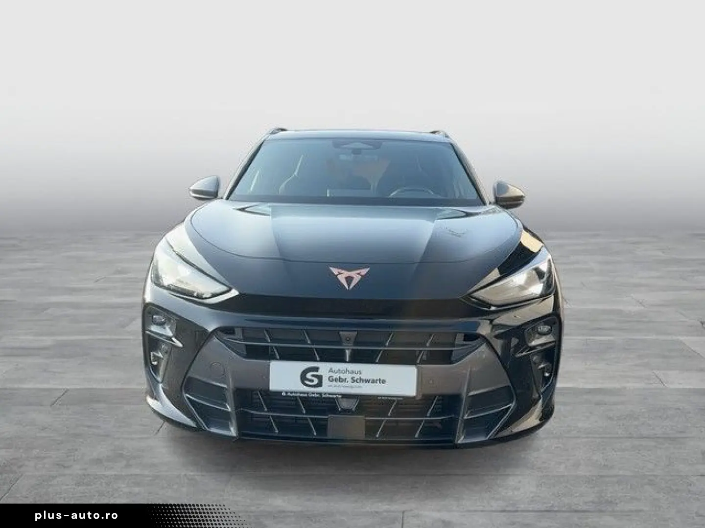 CUPRA Terramar 2.0 TSI 4D VZ AHK HuD Pano Navi 20