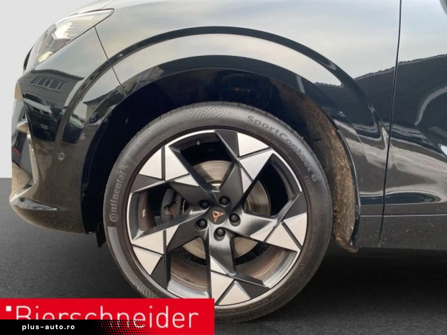 CUPRA Terramar 2.0 TSI 4Drive VZ AHK PANO SENNH 360