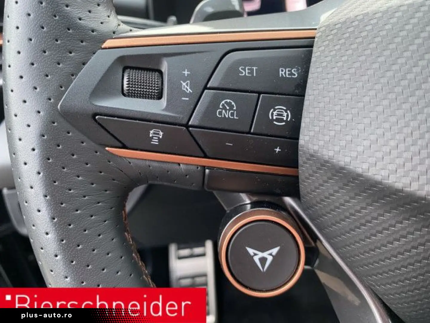 CUPRA Terramar 2.0 TSI 4Drive VZ AHK PANO SENNH 360