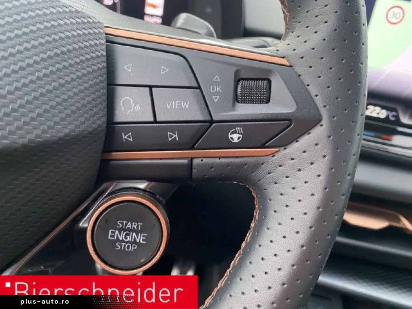 CUPRA Terramar 2.0 TSI 4Drive VZ AHK PANO SENNH 360
