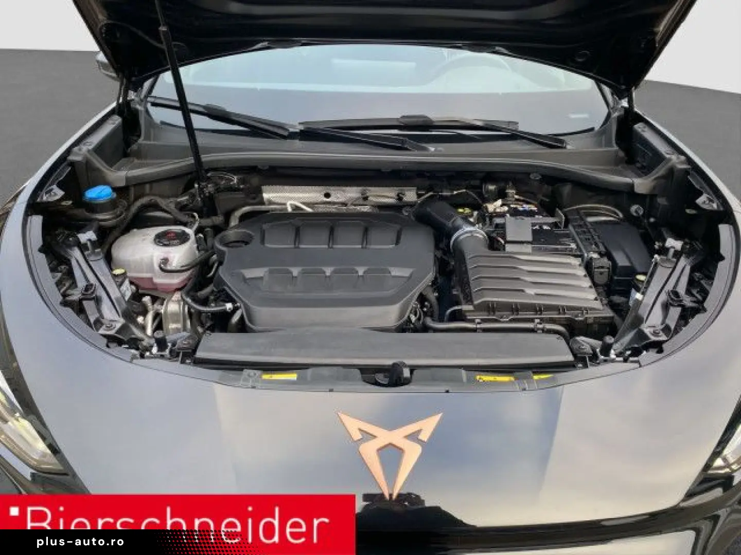 CUPRA Terramar 2.0 TSI 4Drive VZ AHK PANO SENNH 360