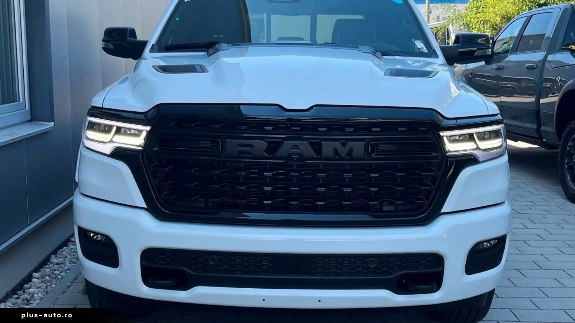 Dodge RAM Ram 1500 Crew Cab Limited Night
