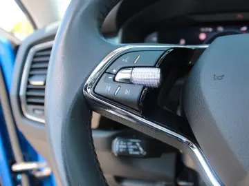 SKODA Kodiaq 2.0 TDI L&K 1.Hand 4x4 DSG Navi AHK