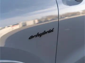 Porsche Cayenne S E-Hybrid Coupe Black Edition