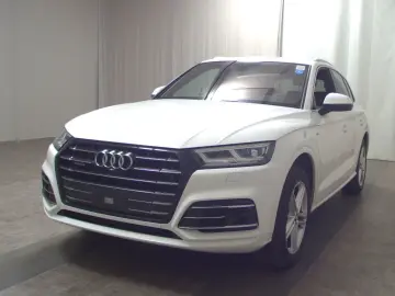 AUDI Q5 55 TFSI e Qu. S-Line LEDER NAVI LED