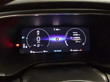 RENAULT Arkana 1.3 TCe Esprit Alpine T-Leder Navi LED