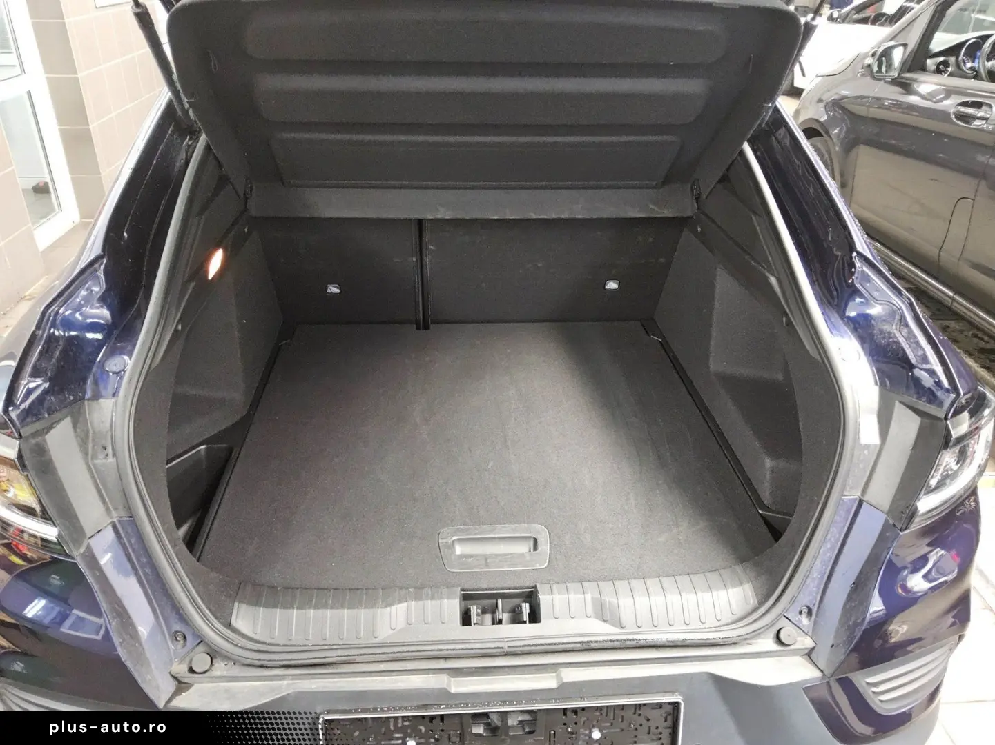 RENAULT Arkana 1.3 TCe Esprit Alpine T-Leder Navi LED