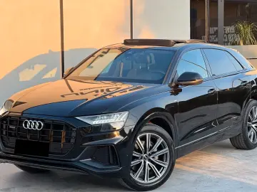 Audi Q8 50 TDI S line quattro Panoramic