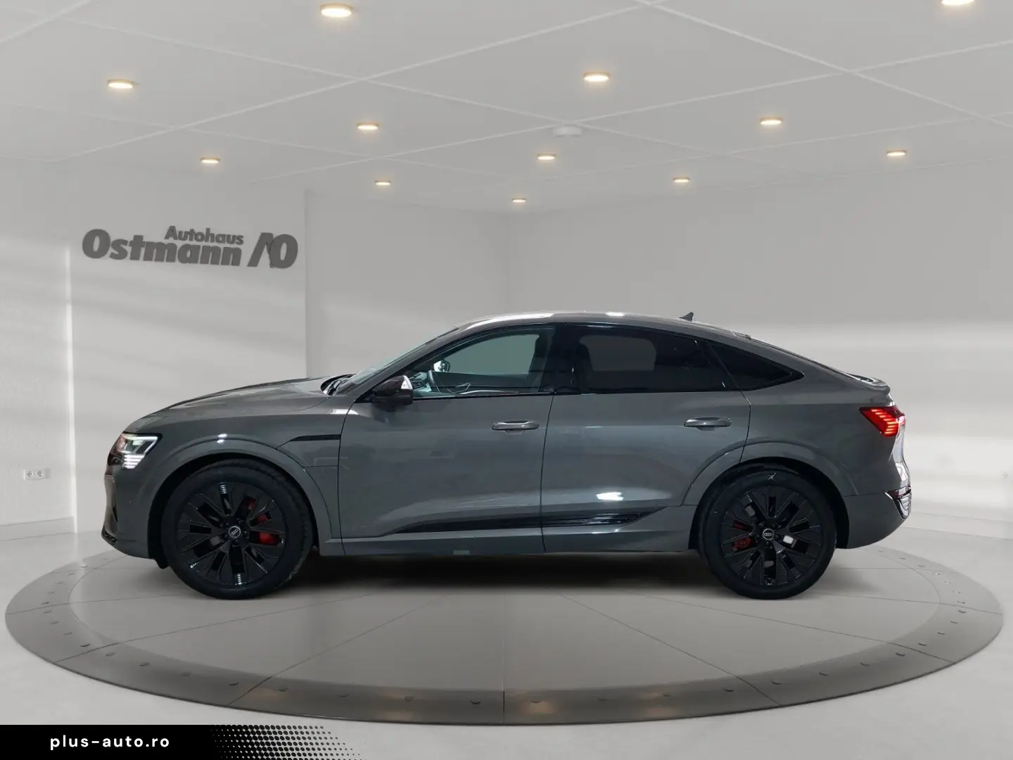 AUDI Q8 Sportback e-tron 50 quattro S-Line AHK Matrix